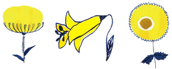 kiku