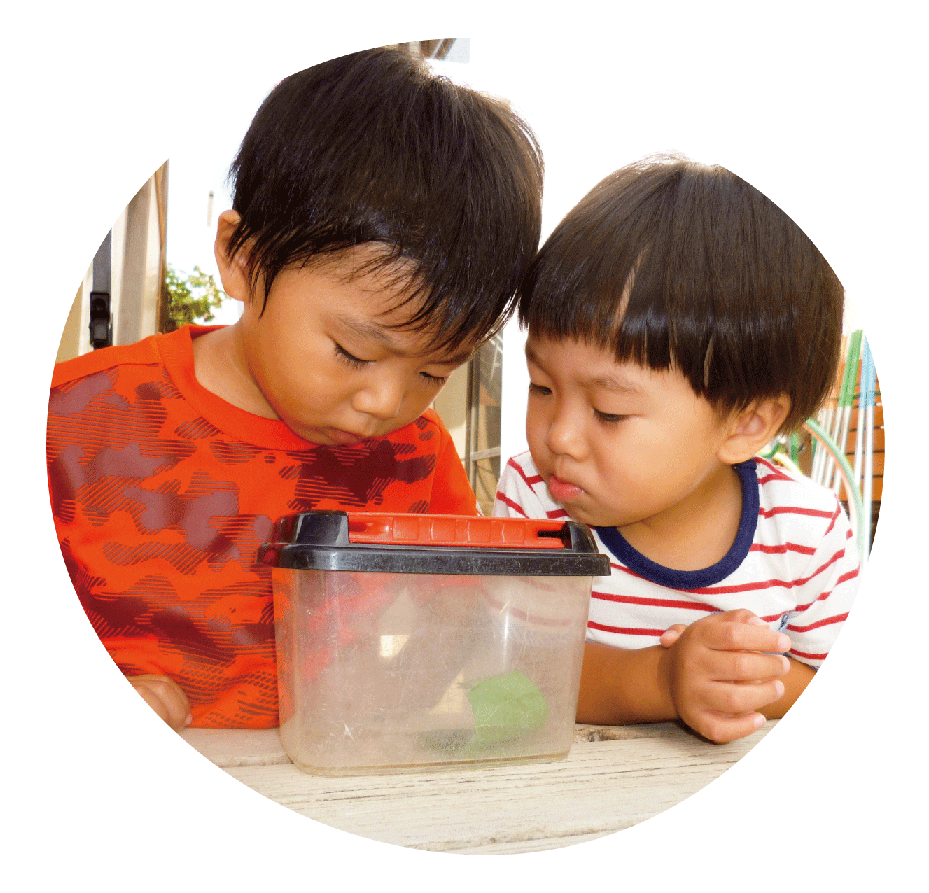 外あそびの時間